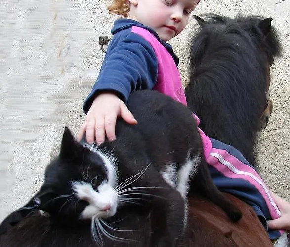 Affittacamere Klub Kovac *