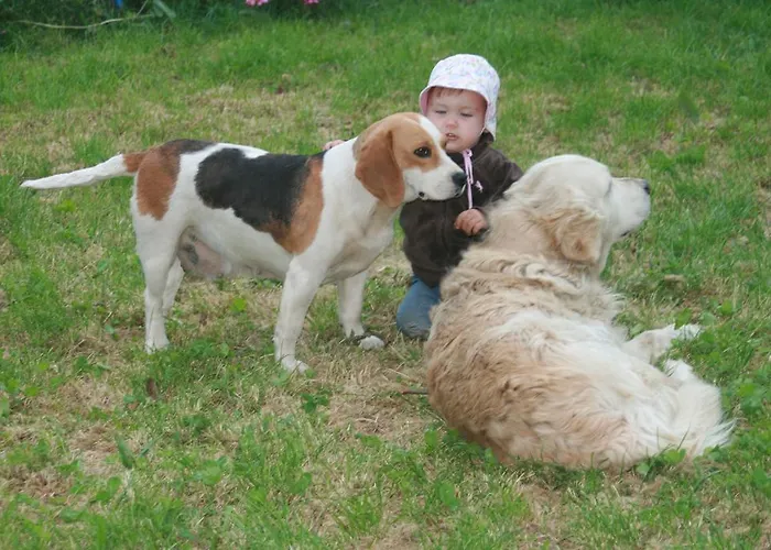 Klub Kovac Affittacamere *