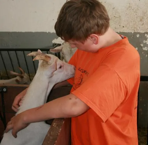 Affittacamere Klub Kovac *